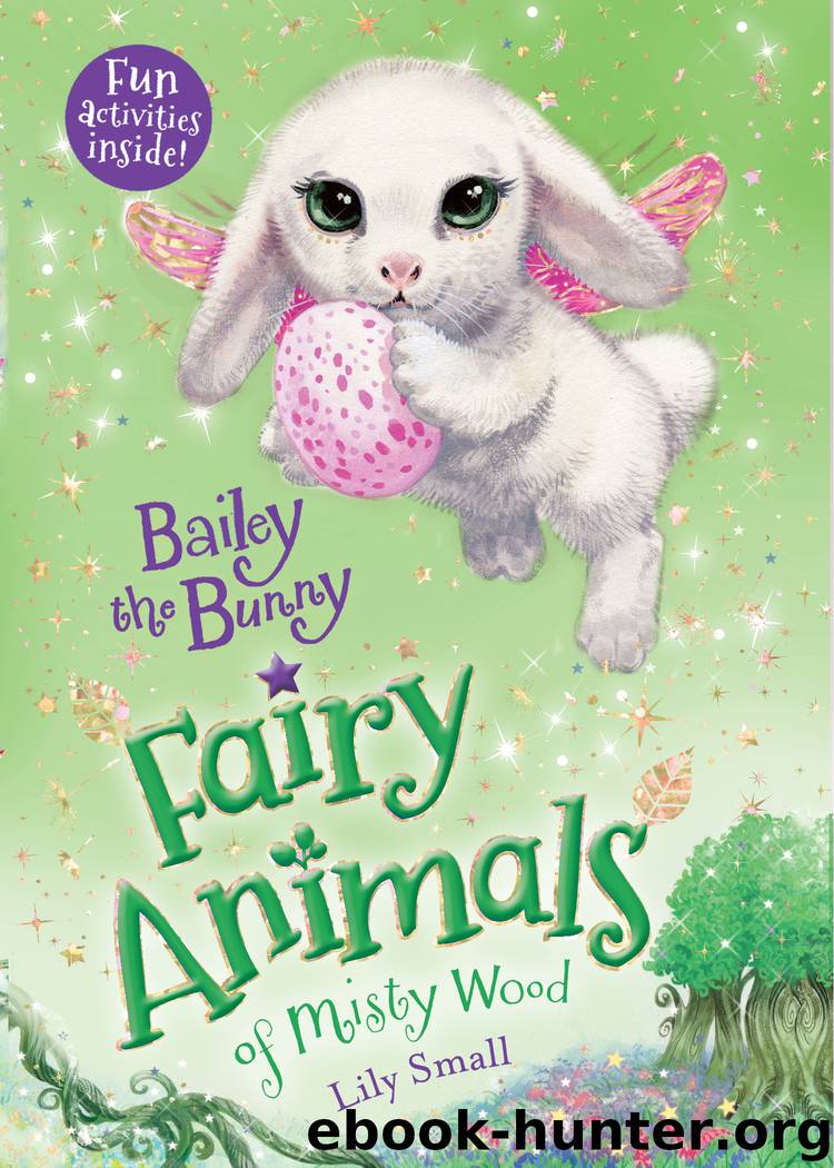 Bailey the Bunny--Fairy Animals of Misty Wood by Lily Small