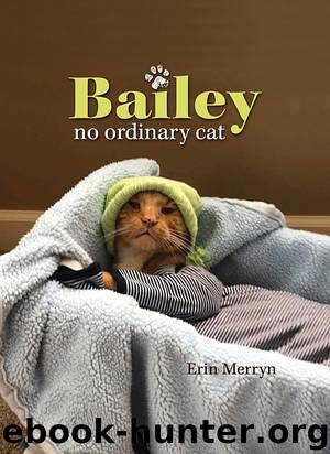 Bailey- No Ordinary Cat by Erin Merryn