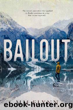 Bailout (The Booker Series Book 2) by M M Flynn