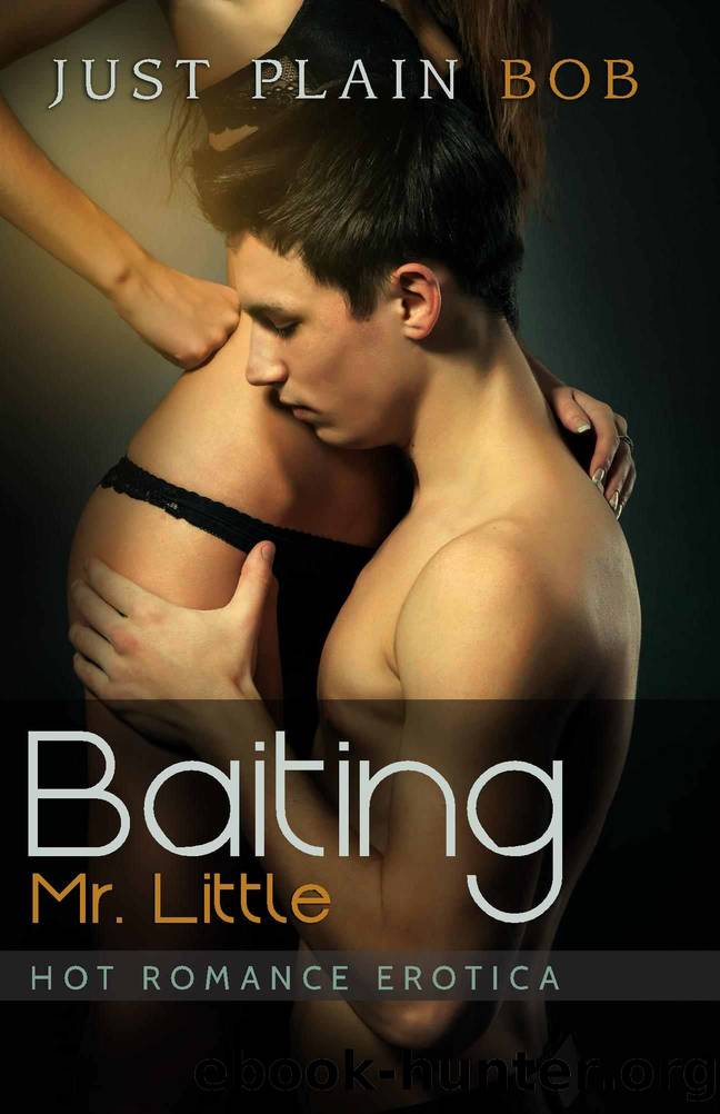 Baiting Mr. Little: Hot Romance Erotica by Just Plain Bob