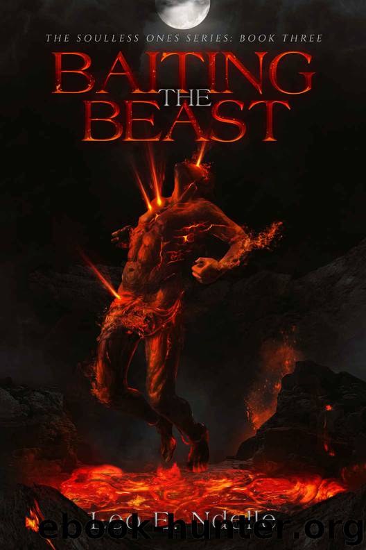 Baiting The Beast by Leo E Ndelle