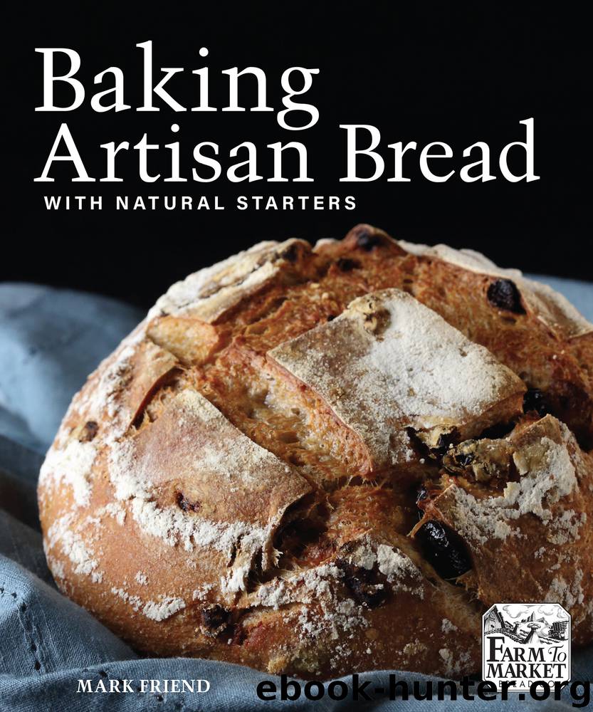 Baking Artisan Bread with Natural Starters by Mark Friend