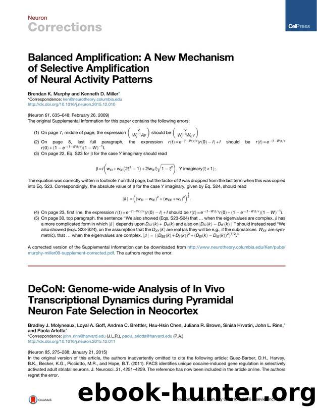 Balanced Amplification: A New Mechanism of Selective Amplification of Neural Activity Patterns by Brendan K. Murphy & Kenneth D. Miller