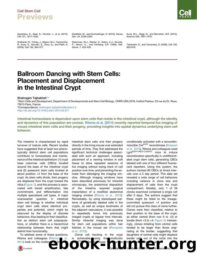 Ballroom Dancing with Stem Cells: Placement and Displacement in the Intestinal Crypt by Shahragim Tajbakhsh