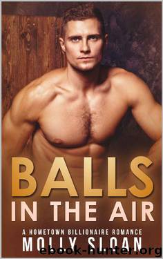 Balls in the Air: A Hometown Billionaire Romance (Billionaire Elements) by Molly Sloan
