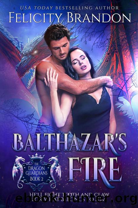 Balthazar's Fire by Felicity Brandon