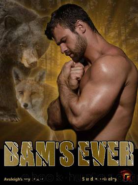 Bam's Ever by Sandra R Neeley