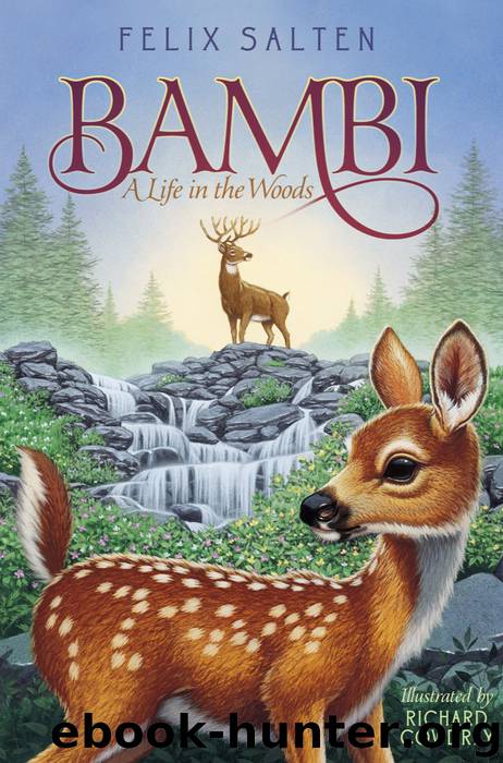 bambi a life in the woods book