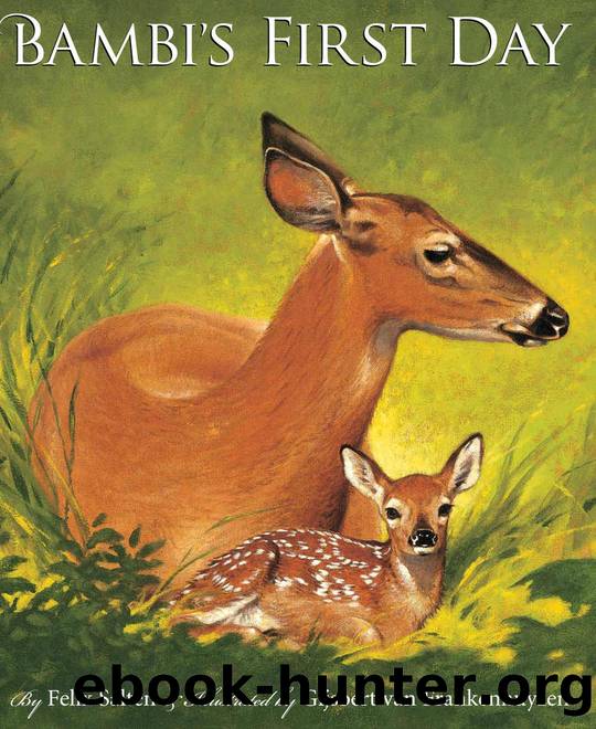 Bambi's First Day by Salten Felix