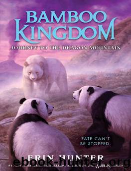 Bamboo Kingdom #3: Journey to the Dragon Mountain by Erin Hunter