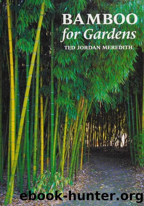 Bamboo for gardens by Meredith Ted