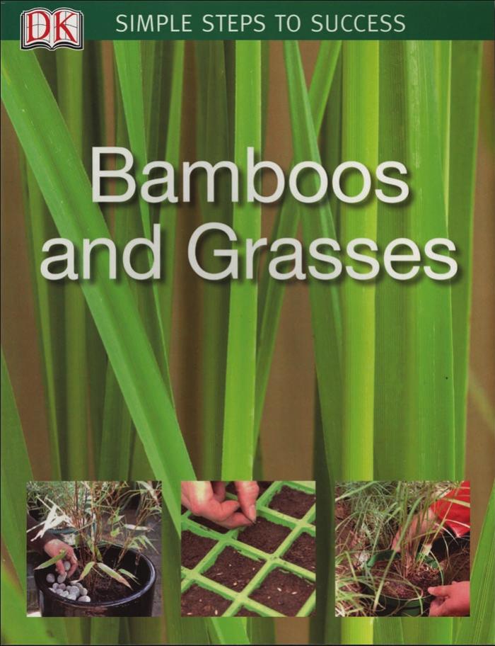 Bamboos & Grasses (SIMPLE STEPS TO SUCCESS) by DK Publishing