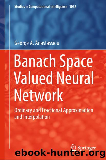 Banach Space Valued Neural Network by George A. Anastassiou