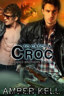 Banded Brothers 2: To Catch A Croc by Amber Kell
