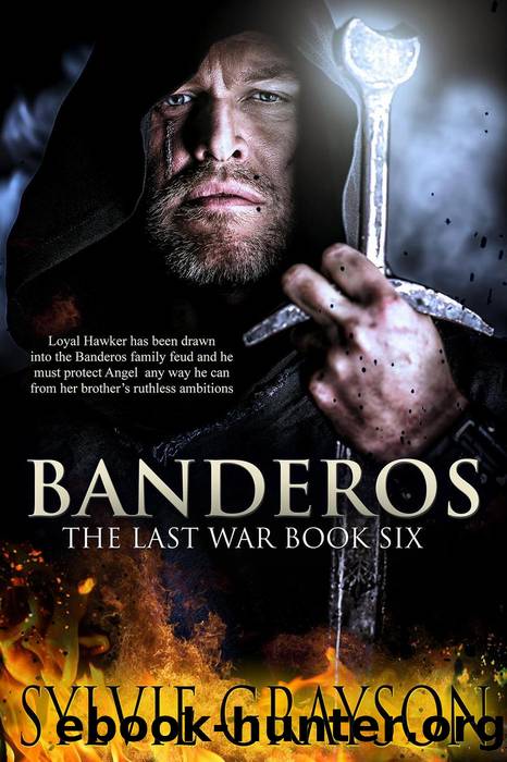 Banderos, the Last War by Sylvie Grayson
