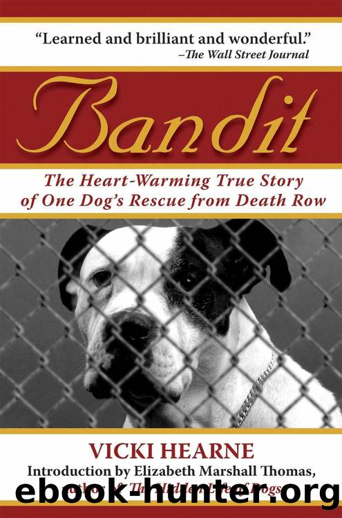 Bandit: The Heart-Warming True Story of One Dog's Rescue from Death Row by Hearne Vicki