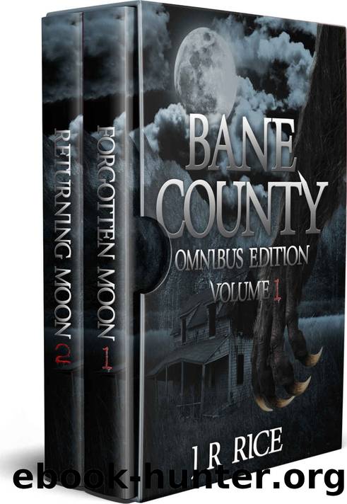 Bane County Omnibus 1 by J R Rice