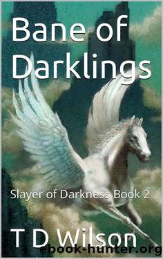 Bane of Darklings: Slayer of Darkness Book 2 by T D Wilson