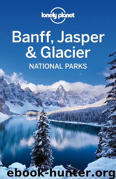 Banff, Jasper & Glacier National Parks Travel Guide by Lonely Planet