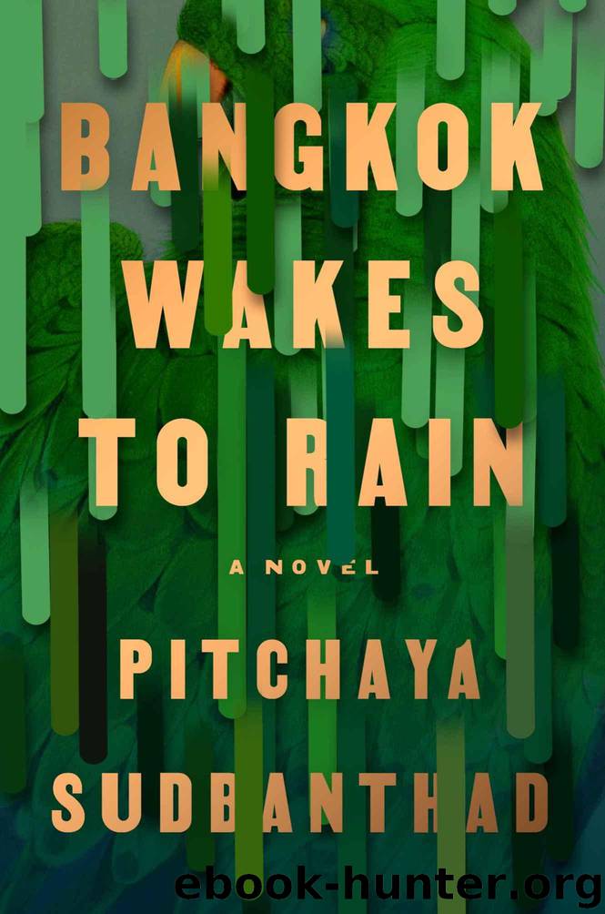 Bangkok Wakes to Rain by Sudbanthad Pitchaya