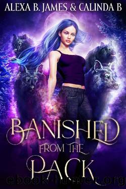 Banished From the Pack (Rejected Mate Book 1) by Alexa B. James & Calinda B