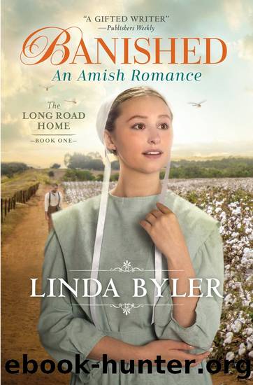 Banished by Linda Byler