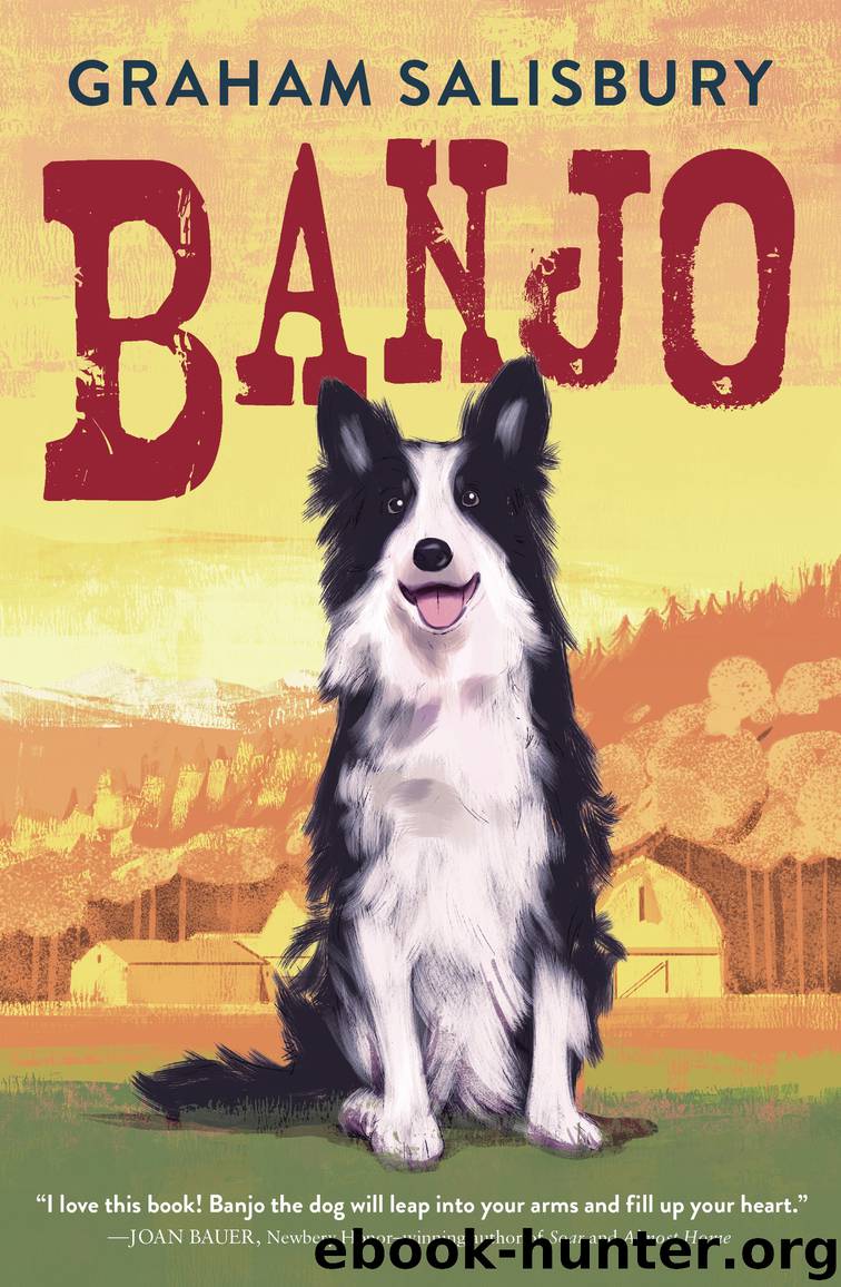 Banjo by Graham Salisbury