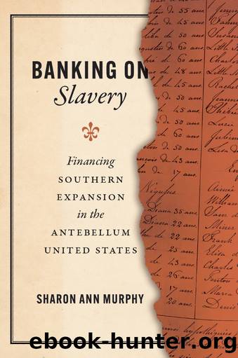 Banking on Slavery by Sharon Ann Murphy