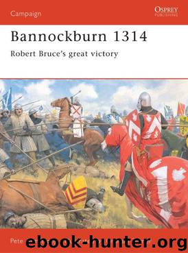 Bannockburn 1314 by Peter Armstrong