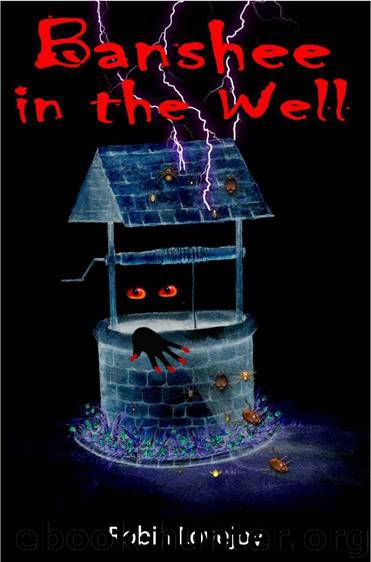 Banshee in the Well by Robin Lovejoy