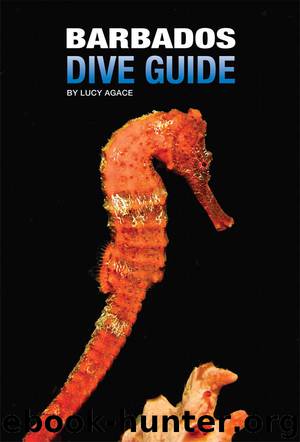 Barbados Dive Guide by Lucy Agace