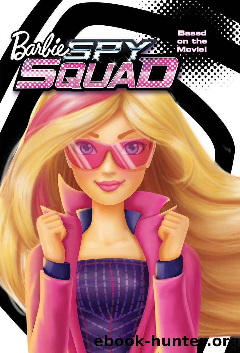 Barbie Spring 2016 Movie Chapter Book by Molly McGuire Woods