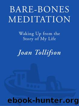 Bare-Bones Meditation by Joan Tollifson