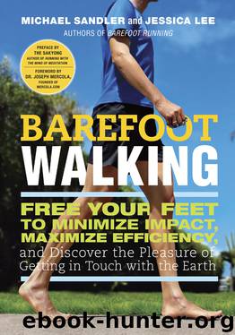 Barefoot Walking by Michael Sandler