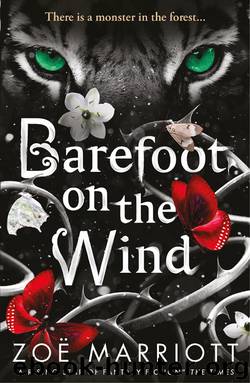 Barefoot on the Wind by Zoe Marriott