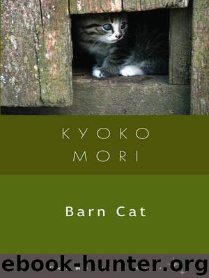 Barn Cat by Kyoko Mori