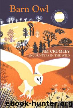 Barn Owl by Jim Crumley