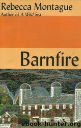 Barnfire by Montague Rebecca