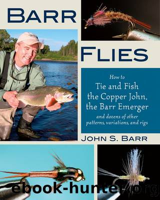 Barr Flies by John S. Barr