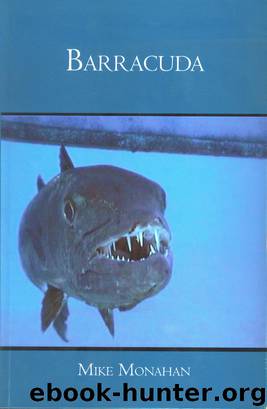 Barracuda by Mike Monahan