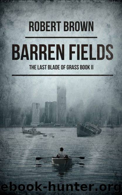 Barren Fields by Robert Brown