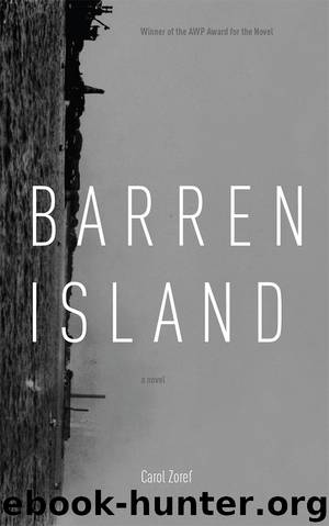 Barren Island by Carol Zoref