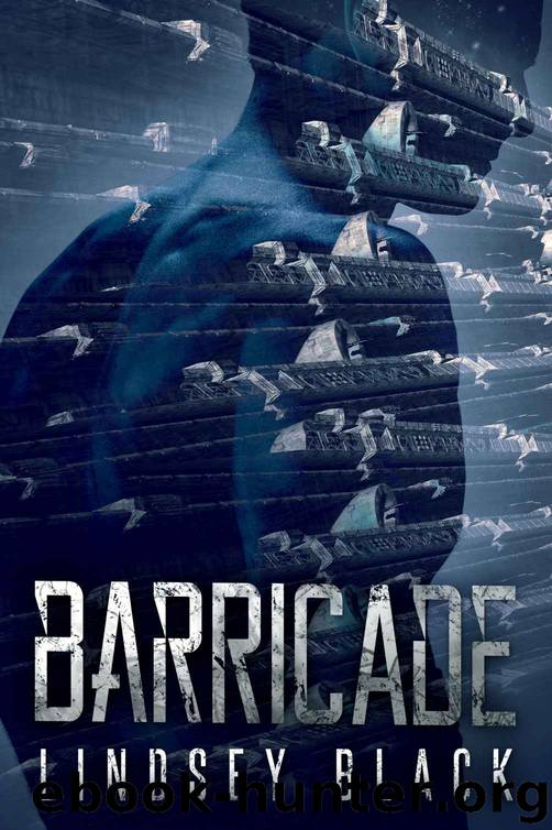 Barricade by Lindsey Black