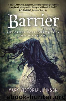 Barrier by Mary Victoria Johnson