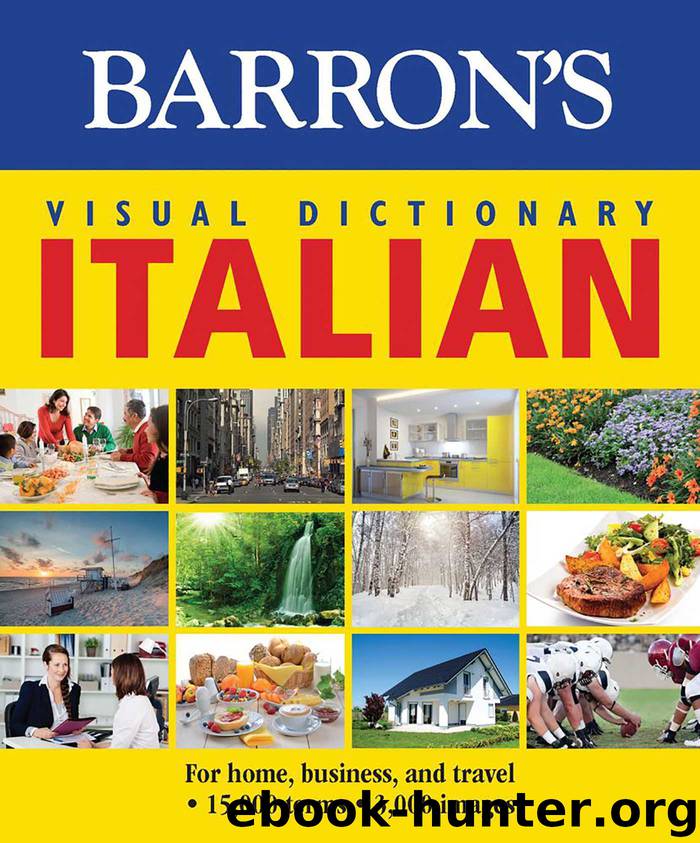 Barron's Visual Dictionary: Italian: For Home, Business, and Travel by pons editorial team