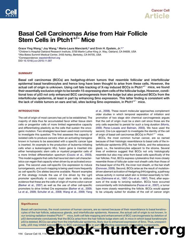Basal Cell Carcinomas Arise from Hair Follicle Stem Cells in Ptch1+- Mice by Grace Ying Wang & Joy Wang & Maria-Laura Mancianti & Ervin H. Epstein Jr