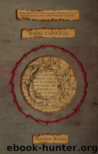 Basal Ganglia by Revert Matthew