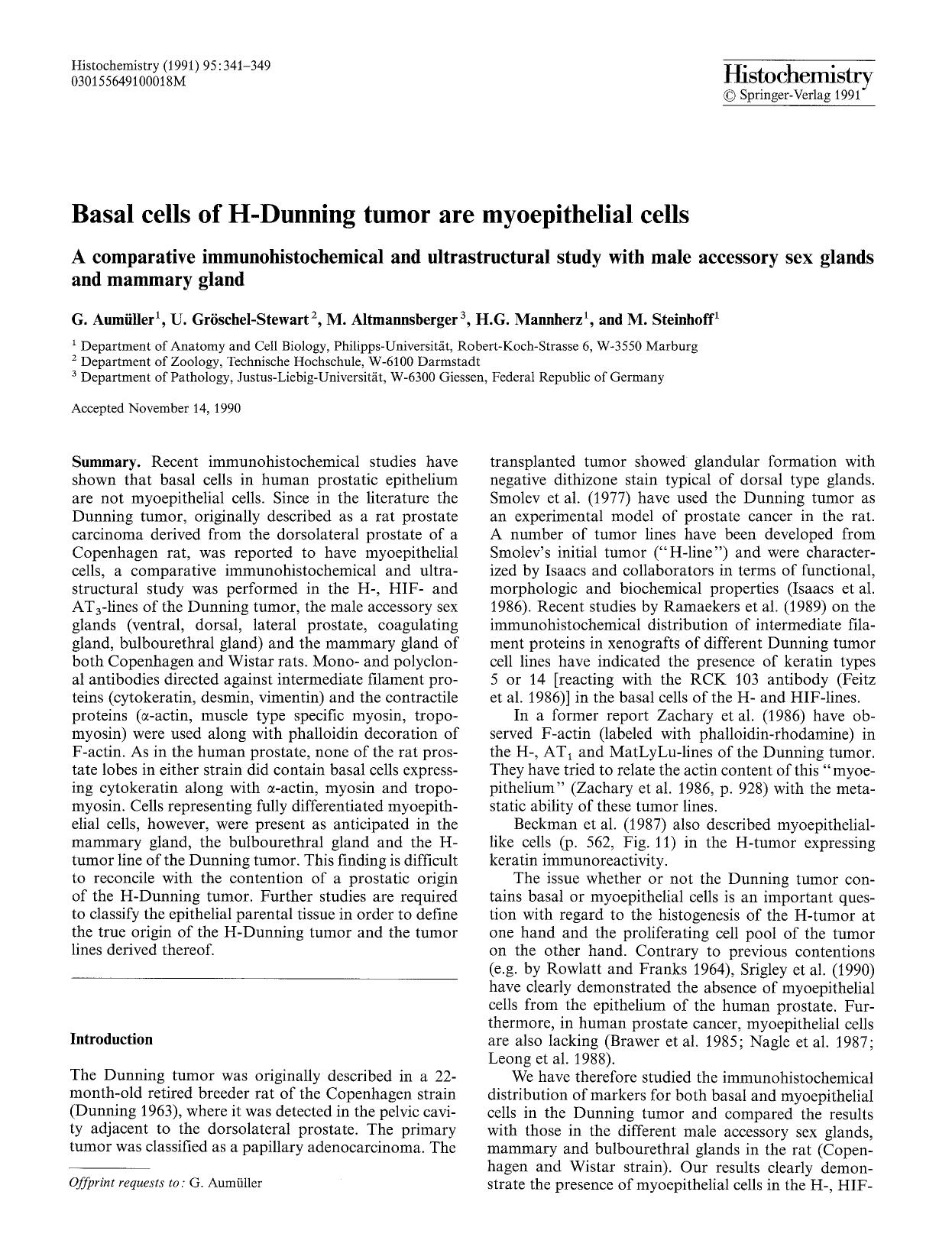 Basal cells of H-Dunning tumor are myoepithelial cells by Unknown