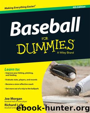 Baseball For Dummies (For Dummies (Sports & Hobbies)) by Morgan Joe & Lally Richard