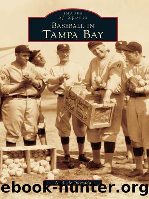 Baseball in Tampa Bay by A.M. de Quesada